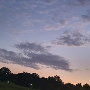 Meet your Posher, Willow